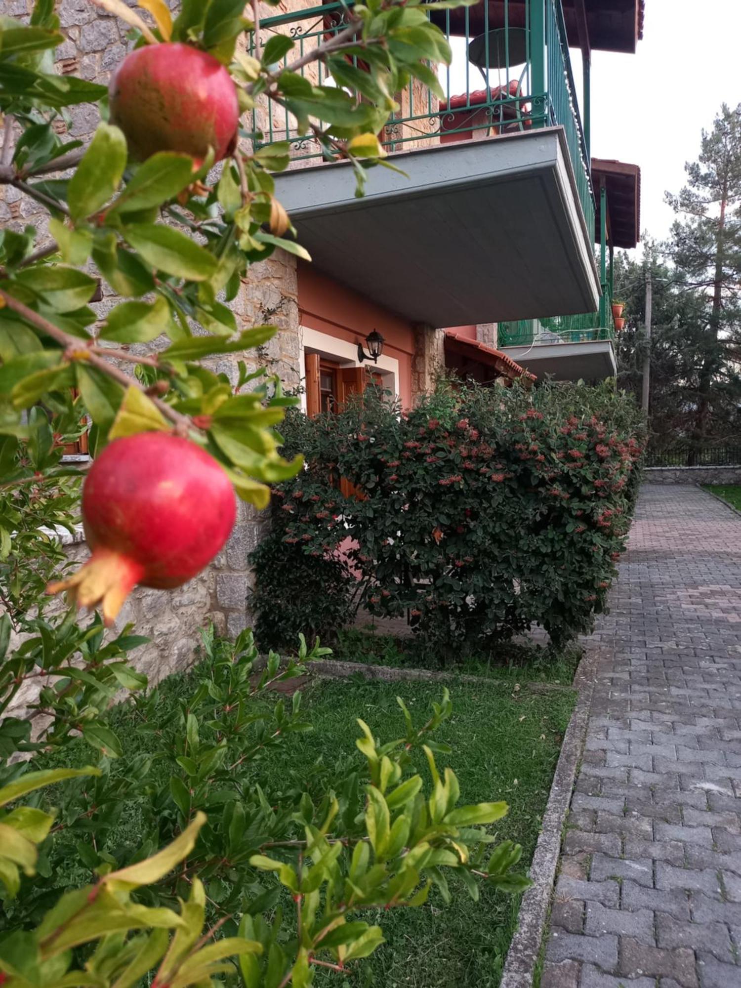 Kastalia Country Home Arachova Bagian luar foto